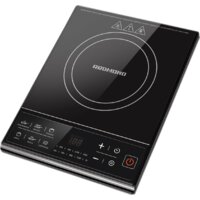 Redmond (Редмонд) RIC-4601