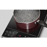 Redmond (Редмонд) RIC-4601 Image #4