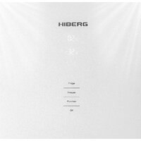 Hiberg RFC-400DX NFGW Image #3