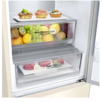 LG DoorCooling+ GA-B509CEQM Image #9