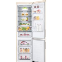 LG DoorCooling+ GA-B509CEQM Image #4