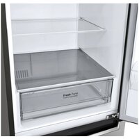 LG DoorCooling+ GA-B509MMZL Image #6