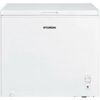 Hyundai CH2005 Image #3