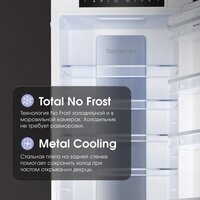 Zigmund & Shtain BR 19 X Image #6