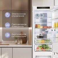 Zigmund & Shtain BR 19 X Image #8