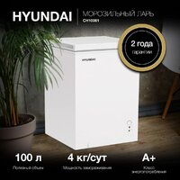 Hyundai CH10081 Image #3