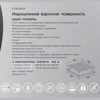 Zigmund & Shtain CI 30.6 W Image #4
