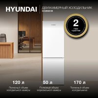 Hyundai CC20031H Image #3