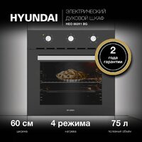Hyundai HEO 66311 BG Image #5