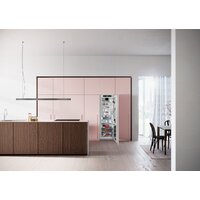 Liebherr IRBci 5180 Peak BioFresh Image #4