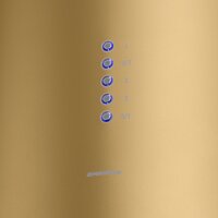 MAUNFELD Lee Wall 39 (золотой) Image #4