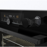 Gorenje BPSA6747A08BG Image #9