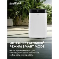 Ballu BPAC-07 SW/N1 Image #6