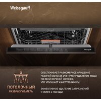 Weissgauff BDW 6038 Infolight Image #15
