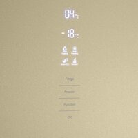 MAUNFELD MFF185NFBG Inverter Image #6